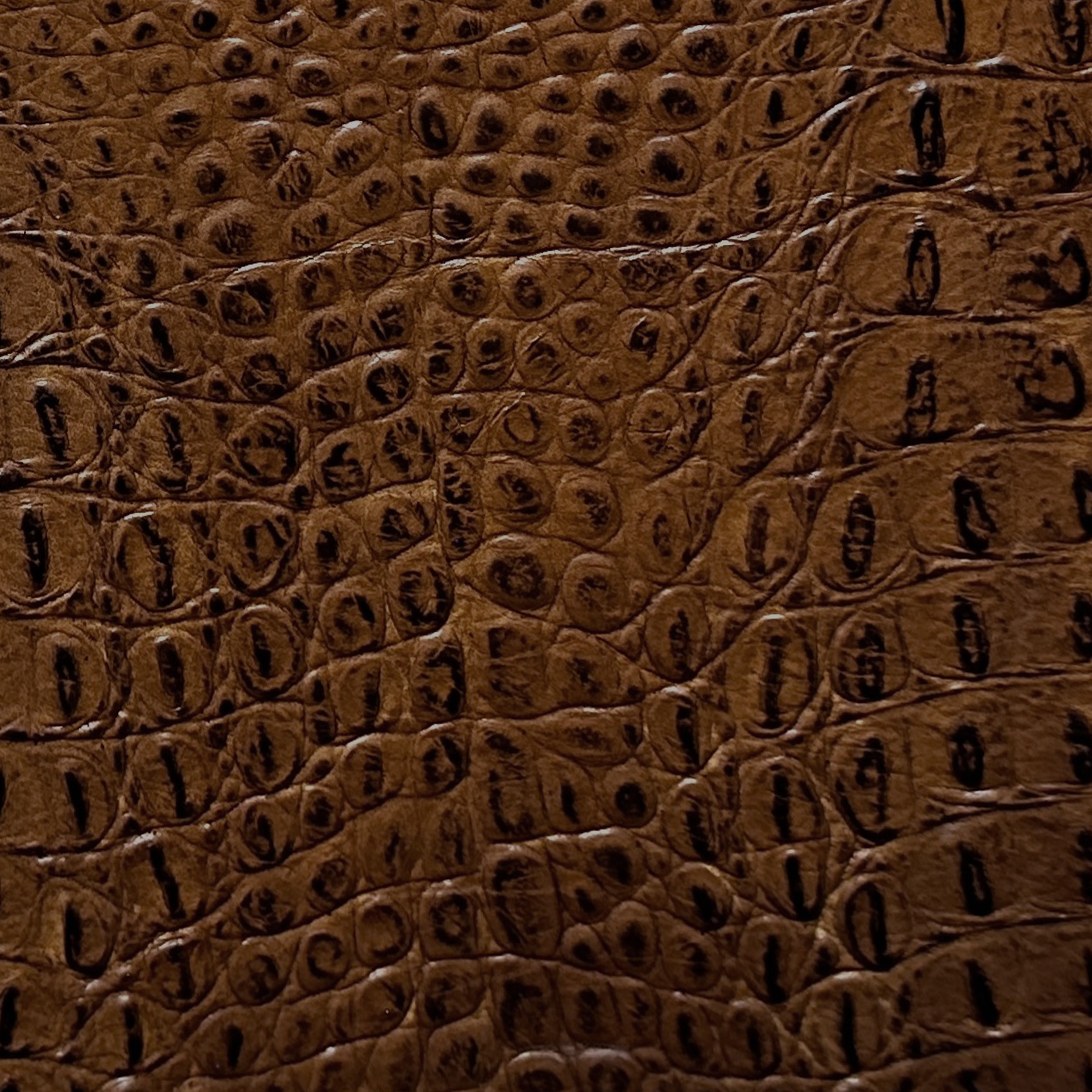 Diva Redwood Croc